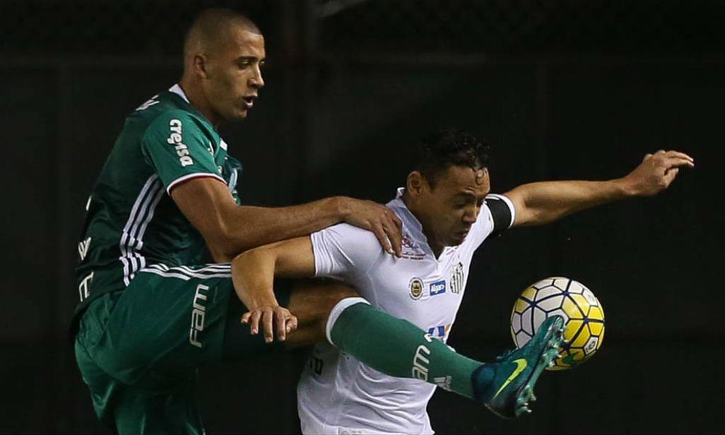 Sociedade Esportiva Palmeiras/Divulgação