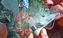 CVV do crack recebe 33 ligações todos os dias