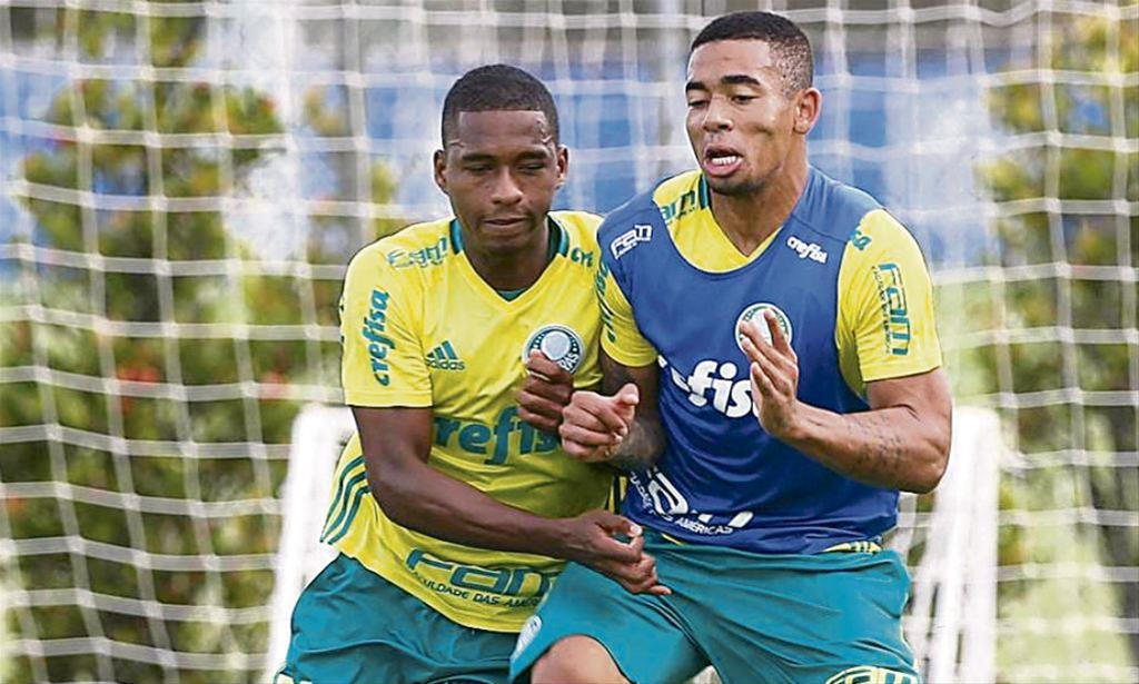 SE Palmeiras/Divulgação 