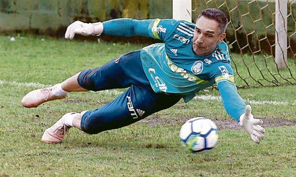 César Grecco/Agência Palmeiras/Divulgação