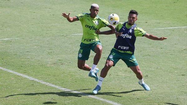 Divulgação/Palmeiras/Cesar Greco