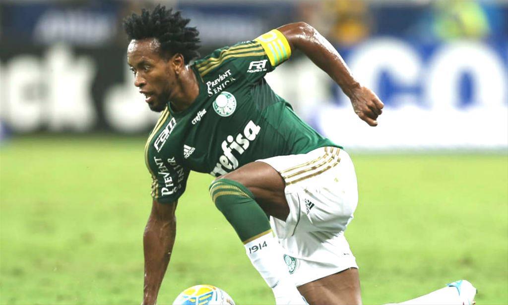 Cesar Greco/Ag.Palmeiras/Divulgação
