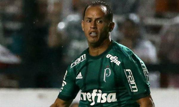 Cesar Grecco/Agência Palmeiras/Divulgação