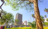 Santo André é premiada em pacto global por ações climáticas