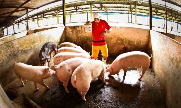 Fotos Públicas Diário do Grande ABC - Notícias e informações do Grande ABC: Santo André, São Bernardo, São Caetano, Diadema, Mauá, Ribeirão Pires e Rio Grande da Serra