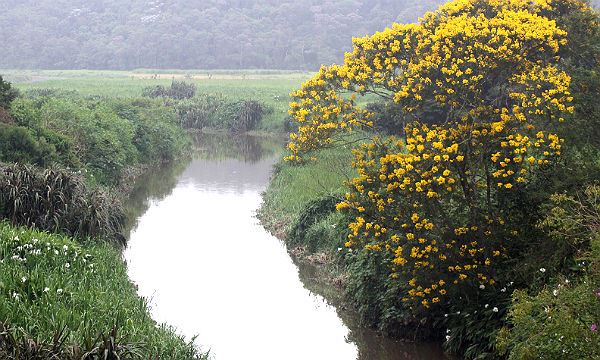 Denis Maciel/DGABC Diário do Grande ABC - Notícias e informações do Grande ABC: Santo André, São Bernardo, São Caetano, Diadema, Mauá, Ribeirão Pires e Rio Grande da Serra