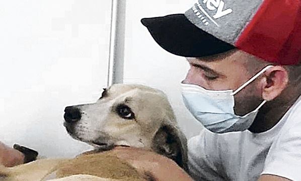 Divulgação/Clínica veterinária Dr. Hato Diário do Grande ABC - Notícias e informações do Grande ABC: Santo André, São Bernardo, São Caetano, Diadema, Mauá, Ribeirão Pires e Rio Grande da Serra