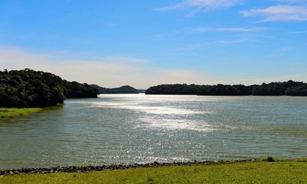 Divulgação/Secretaria do Meio Ambiente e Proteção Animal/ABr Diário do Grande ABC - Notícias e informações do Grande ABC: Santo André, São Bernardo, São Caetano, Diadema, Mauá, Ribeirão Pires e Rio Grande da Serra