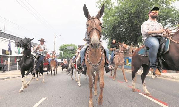 Devoção a Nossa Senhora Aparecida levou 3.000 fiéis a procissão de 8 km em S. Caetano(FOTO: ) Diário do Grande ABC - Notícias e informações do Grande ABC: Santo André, São Bernardo, São Caetano, Diadema, Mauá, Ribeirão Pires e Rio Grande da Serra