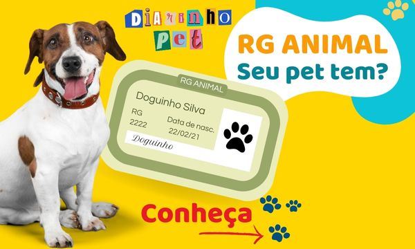 Diário do Grande ABC - Notícias e informações do Grande ABC: Santo André, São Bernardo, São Caetano, Diadema, Mauá, Ribeirão Pires e Rio Grande da Serra