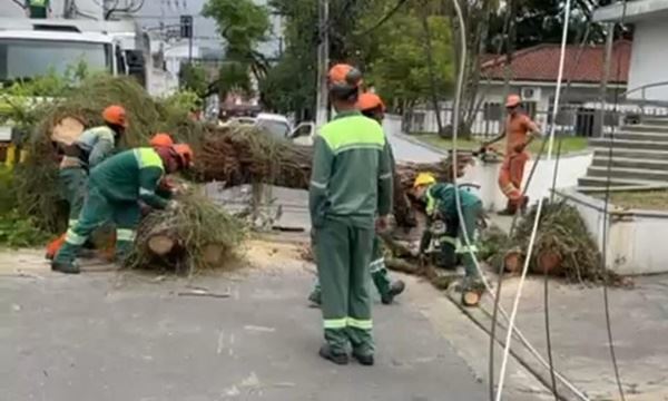 FOTO: Divulgação Diário do Grande ABC - Notícias e informações do Grande ABC: Santo André, São Bernardo, São Caetano, Diadema, Mauá, Ribeirão Pires e Rio Grande da Serra