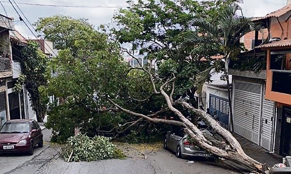 Reprodução Diário do Grande ABC - Notícias e informações do Grande ABC: Santo André, São Bernardo, São Caetano, Diadema, Mauá, Ribeirão Pires e Rio Grande da Serra