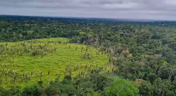 FOTO: Divulgação/EBC Diário do Grande ABC - Notícias e informações do Grande ABC: Santo André, São Bernardo, São Caetano, Diadema, Mauá, Ribeirão Pires e Rio Grande da Serra