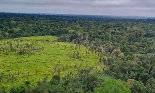 FOTO: PF/Gov.Br Diário do Grande ABC - Notícias e informações do Grande ABC: Santo André, São Bernardo, São Caetano, Diadema, Mauá, Ribeirão Pires e Rio Grande da Serra