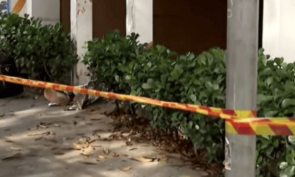 FOTO: Reprodução Diário do Grande ABC - Notícias e informações do Grande ABC: Santo André, São Bernardo, São Caetano, Diadema, Mauá, Ribeirão Pires e Rio Grande da Serra