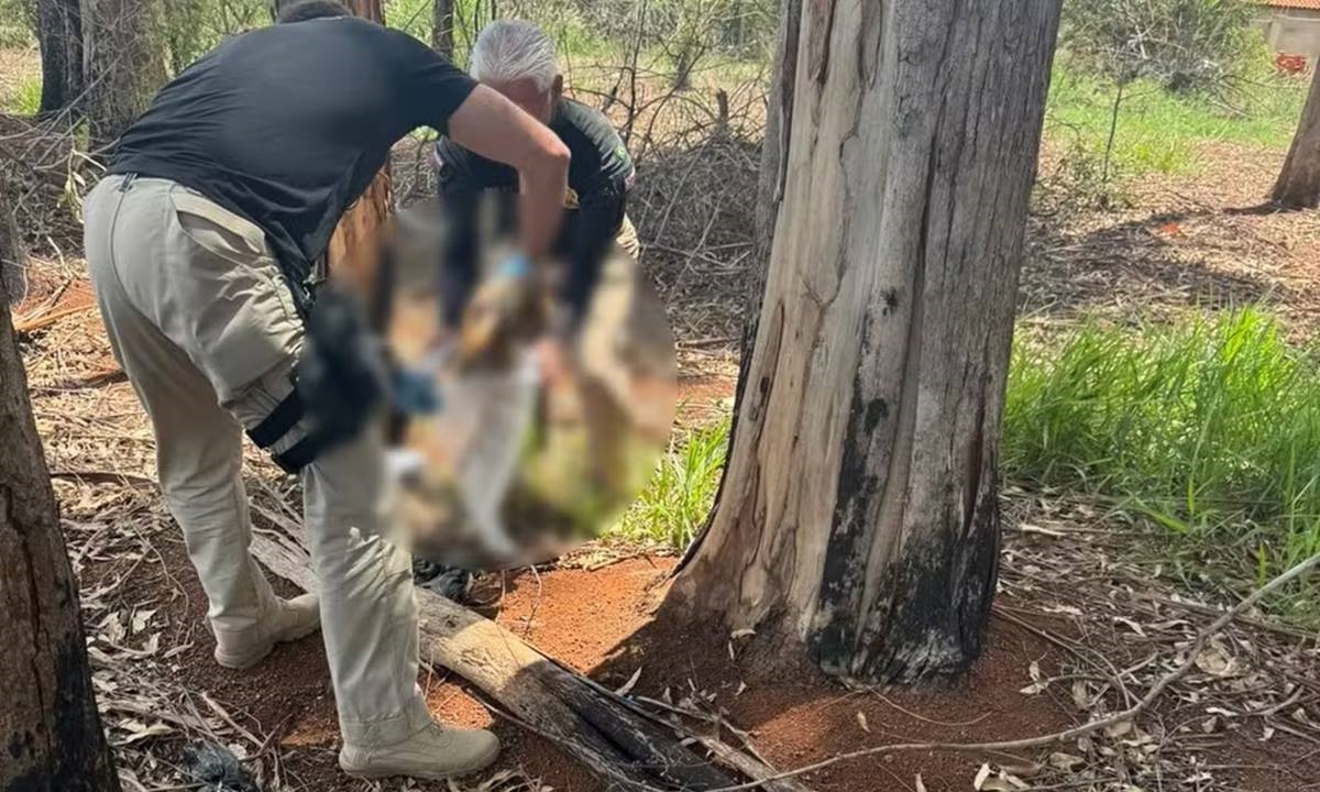 FOTO: Polícia Civil de Itapetininga/Divulgação Diário do Grande ABC - Notícias e informações do Grande ABC: Santo André, São Bernardo, São Caetano, Diadema, Mauá, Ribeirão Pires e Rio Grande da Serra