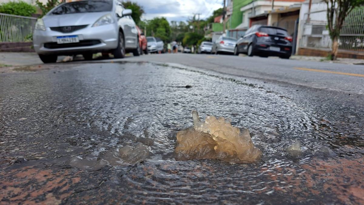 FOTO: Arquivo pessoal Diário do Grande ABC - Notícias e informações do Grande ABC: Santo André, São Bernardo, São Caetano, Diadema, Mauá, Ribeirão Pires e Rio Grande da Serra