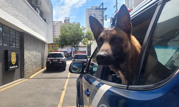 FOTO: Divulgação Diário do Grande ABC - Notícias e informações do Grande ABC: Santo André, São Bernardo, São Caetano, Diadema, Mauá, Ribeirão Pires e Rio Grande da Serra