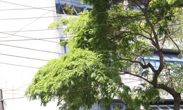 FOTO: Claudinei Plaza/DGABC Diário do Grande ABC - Notícias e informações do Grande ABC: Santo André, São Bernardo, São Caetano, Diadema, Mauá, Ribeirão Pires e Rio Grande da Serra