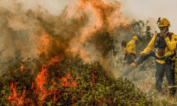 FOTO: Marcelo Camargo/Agência Brasil Diário do Grande ABC - Notícias e informações do Grande ABC: Santo André, São Bernardo, São Caetano, Diadema, Mauá, Ribeirão Pires e Rio Grande da Serra