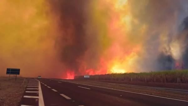 FOTO: Reprodução Diário do Grande ABC - Notícias e informações do Grande ABC: Santo André, São Bernardo, São Caetano, Diadema, Mauá, Ribeirão Pires e Rio Grande da Serra