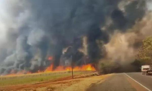 FOTO: CBM-SP/Divulgação Diário do Grande ABC - Notícias e informações do Grande ABC: Santo André, São Bernardo, São Caetano, Diadema, Mauá, Ribeirão Pires e Rio Grande da Serra