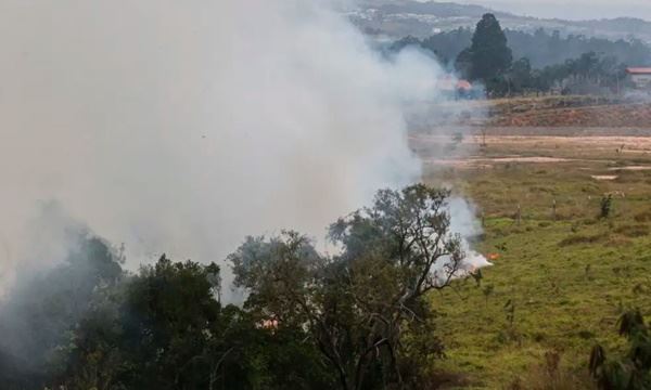 Paulo Pinto/Agência Brasil Diário do Grande ABC - Notícias e informações do Grande ABC: Santo André, São Bernardo, São Caetano, Diadema, Mauá, Ribeirão Pires e Rio Grande da Serra