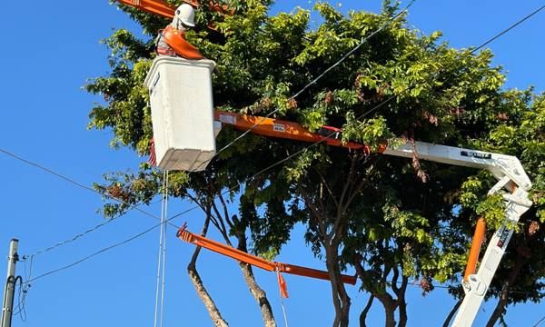 FOTO: Divulgação Diário do Grande ABC - Notícias e informações do Grande ABC: Santo André, São Bernardo, São Caetano, Diadema, Mauá, Ribeirão Pires e Rio Grande da Serra
