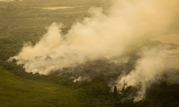 FOTO: Divulgação/EBC Diário do Grande ABC - Notícias e informações do Grande ABC: Santo André, São Bernardo, São Caetano, Diadema, Mauá, Ribeirão Pires e Rio Grande da Serra