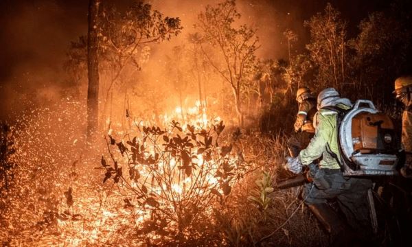 FOTO: Reprodução/Internet Diário do Grande ABC - Notícias e informações do Grande ABC: Santo André, São Bernardo, São Caetano, Diadema, Mauá, Ribeirão Pires e Rio Grande da Serra