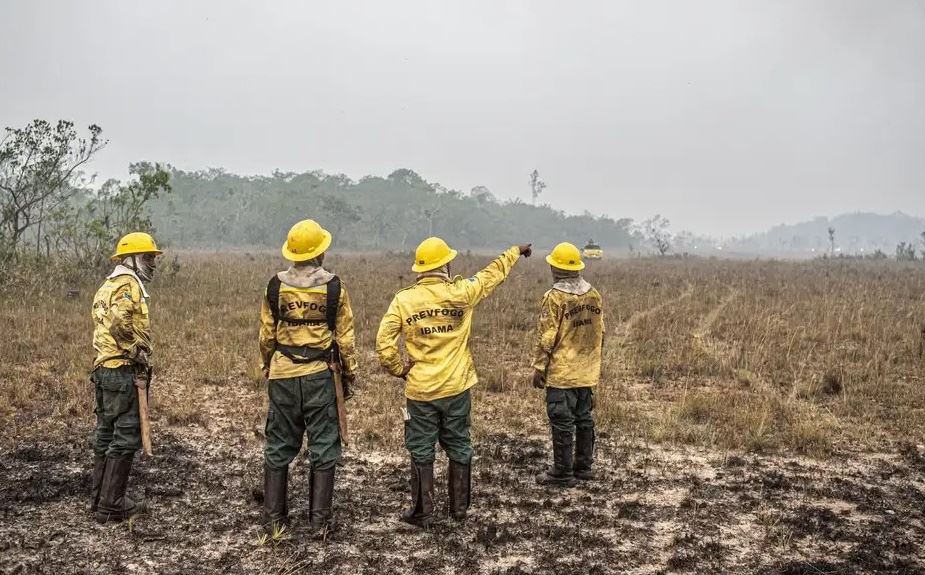 FOTO: Mayangdi Inzaulgarat/Ibama Diário do Grande ABC - Notícias e informações do Grande ABC: Santo André, São Bernardo, São Caetano, Diadema, Mauá, Ribeirão Pires e Rio Grande da Serra