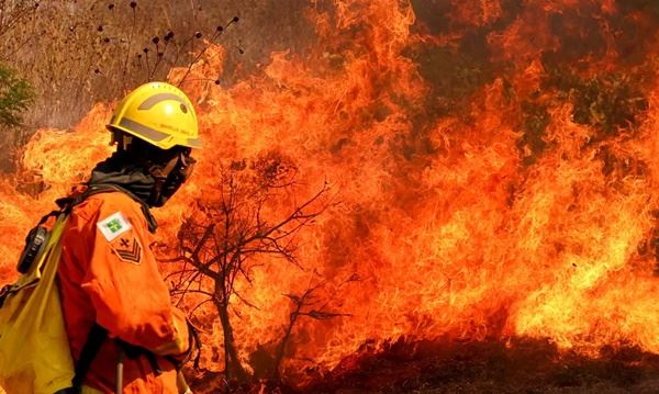 FOTO: Agência Brasil Diário do Grande ABC - Notícias e informações do Grande ABC: Santo André, São Bernardo, São Caetano, Diadema, Mauá, Ribeirão Pires e Rio Grande da Serra
