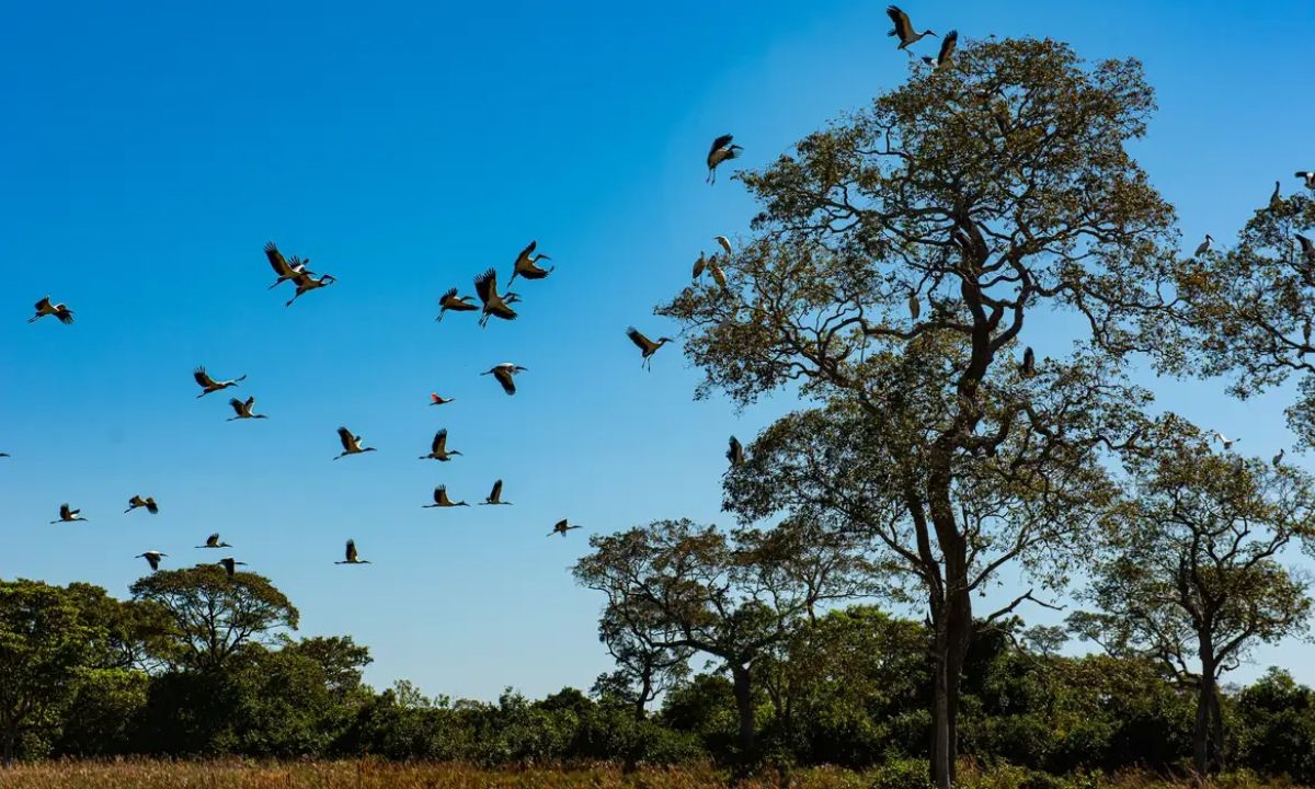 FOTO: Divulgação Diário do Grande ABC - Notícias e informações do Grande ABC: Santo André, São Bernardo, São Caetano, Diadema, Mauá, Ribeirão Pires e Rio Grande da Serra