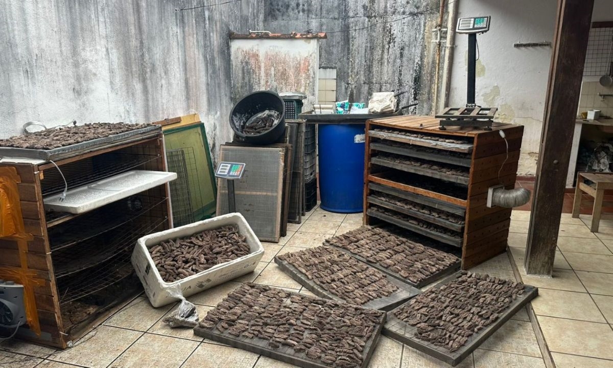 FOTO: Reprodução/ Polícia Civil de São Paulo Diário do Grande ABC - Notícias e informações do Grande ABC: Santo André, São Bernardo, São Caetano, Diadema, Mauá, Ribeirão Pires e Rio Grande da Serra