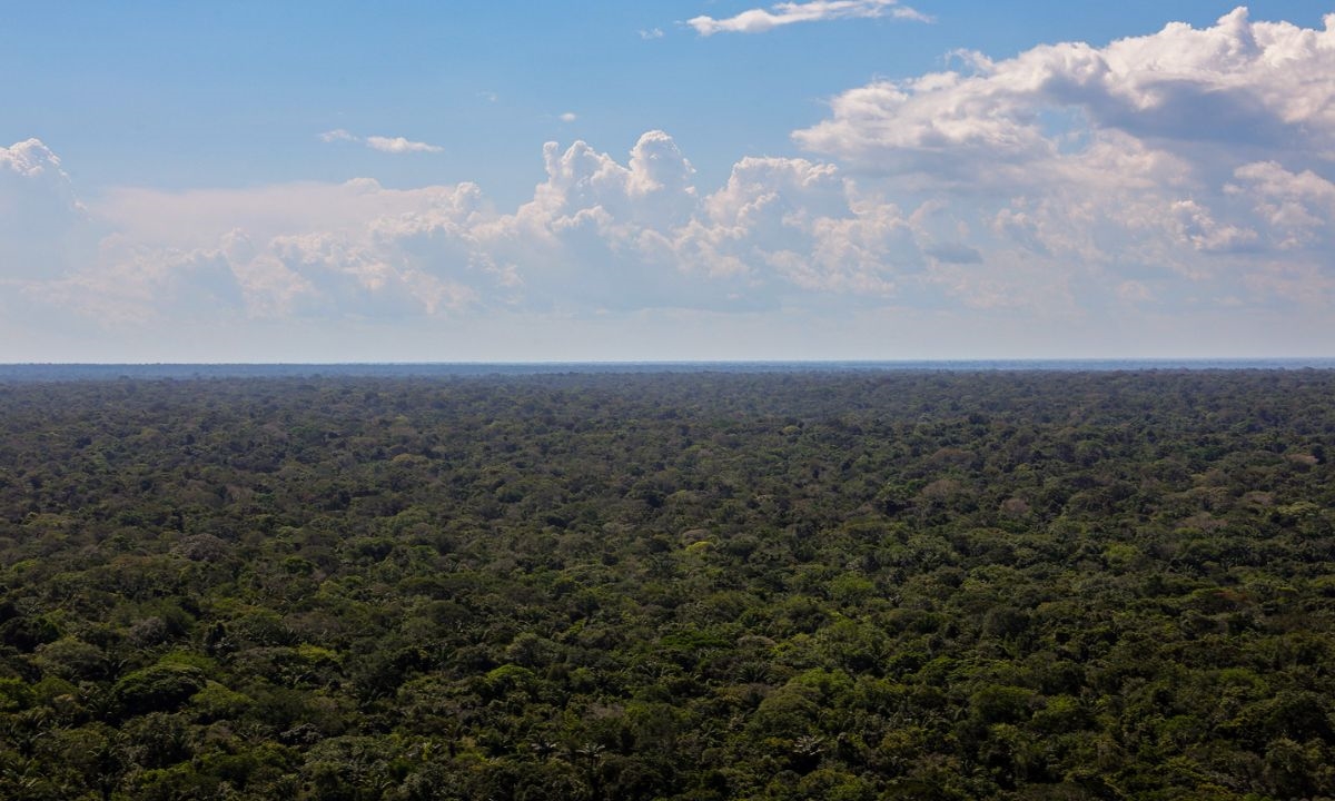 FOTO: Fabio Rodrigues-Pozzebom/Agência Brasil Diário do Grande ABC - Notícias e informações do Grande ABC: Santo André, São Bernardo, São Caetano, Diadema, Mauá, Ribeirão Pires e Rio Grande da Serra
