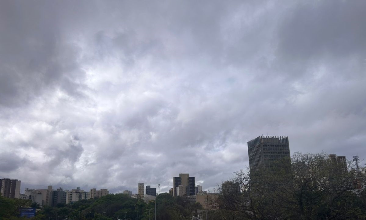 FOTO: Natasha Werneck | DGABC Diário do Grande ABC - Notícias e informações do Grande ABC: Santo André, São Bernardo, São Caetano, Diadema, Mauá, Ribeirão Pires e Rio Grande da Serra