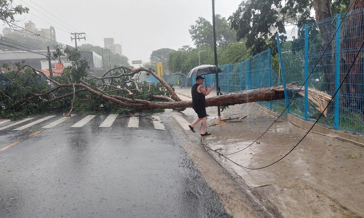 FOTO: Claudinei Plaza/DGABC Diário do Grande ABC - Notícias e informações do Grande ABC: Santo André, São Bernardo, São Caetano, Diadema, Mauá, Ribeirão Pires e Rio Grande da Serra
