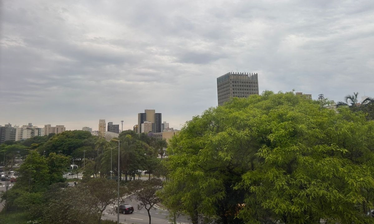 FOTO: Natasha Werneck | DGABC Diário do Grande ABC - Notícias e informações do Grande ABC: Santo André, São Bernardo, São Caetano, Diadema, Mauá, Ribeirão Pires e Rio Grande da Serra