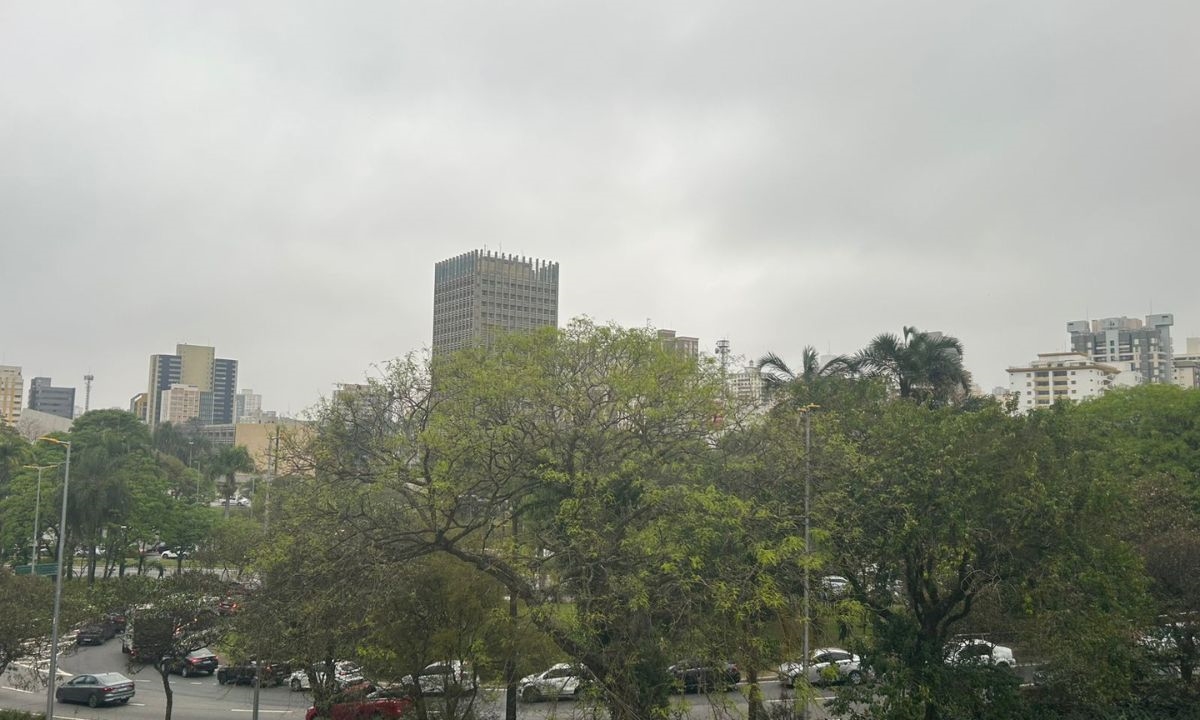 FOTO: Natasha Werneck | DGABC Diário do Grande ABC - Notícias e informações do Grande ABC: Santo André, São Bernardo, São Caetano, Diadema, Mauá, Ribeirão Pires e Rio Grande da Serra