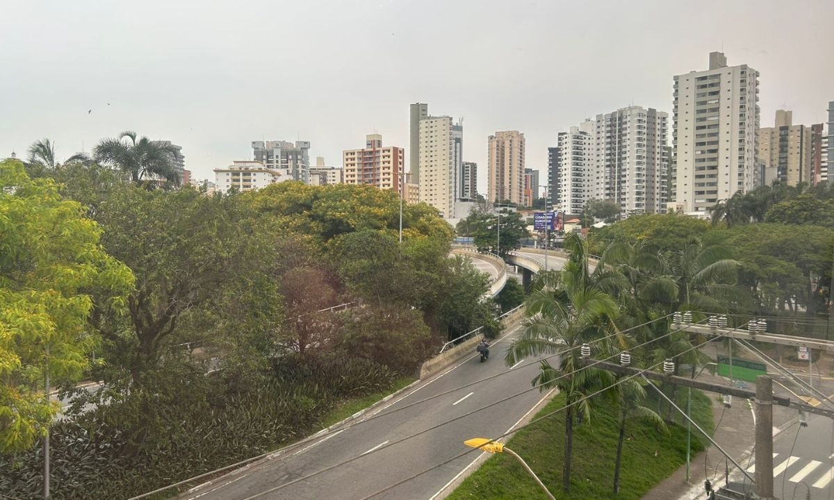 FOTO: Natasha Werneck | DGABC Diário do Grande ABC - Notícias e informações do Grande ABC: Santo André, São Bernardo, São Caetano, Diadema, Mauá, Ribeirão Pires e Rio Grande da Serra