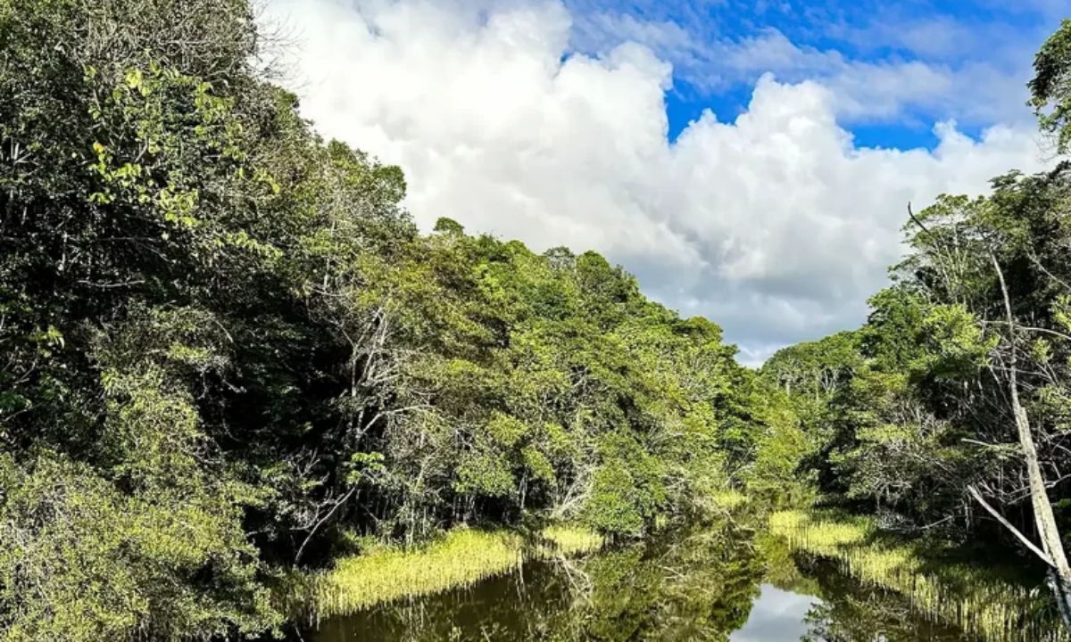 FOTO: Reprodução/Agência Brasil Diário do Grande ABC - Notícias e informações do Grande ABC: Santo André, São Bernardo, São Caetano, Diadema, Mauá, Ribeirão Pires e Rio Grande da Serra