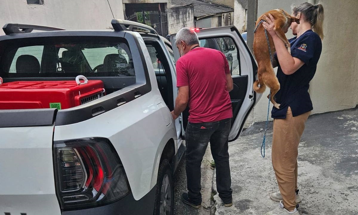 FOTO: Divulgação/PMM Diário do Grande ABC - Notícias e informações do Grande ABC: Santo André, São Bernardo, São Caetano, Diadema, Mauá, Ribeirão Pires e Rio Grande da Serra
