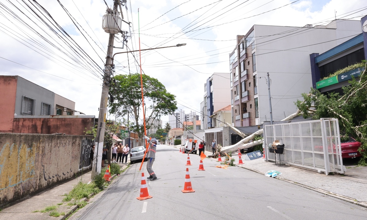 Queda de árvore em São Bernardo (FOTO: Celso Luiz/DGABC) Diário do Grande ABC - Notícias e informações do Grande ABC: Santo André, São Bernardo, São Caetano, Diadema, Mauá, Ribeirão Pires e Rio Grande da Serra