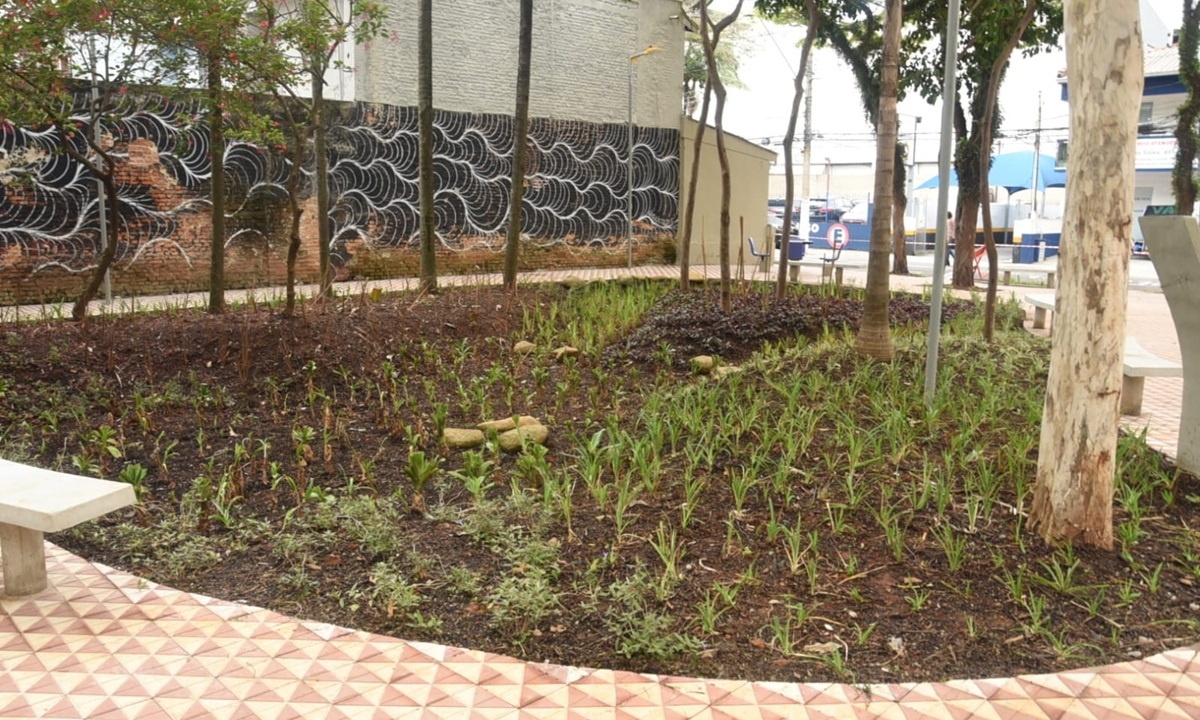 FOTO: Helber Aggio/PMSA Diário do Grande ABC - Notícias e informações do Grande ABC: Santo André, São Bernardo, São Caetano, Diadema, Mauá, Ribeirão Pires e Rio Grande da Serra