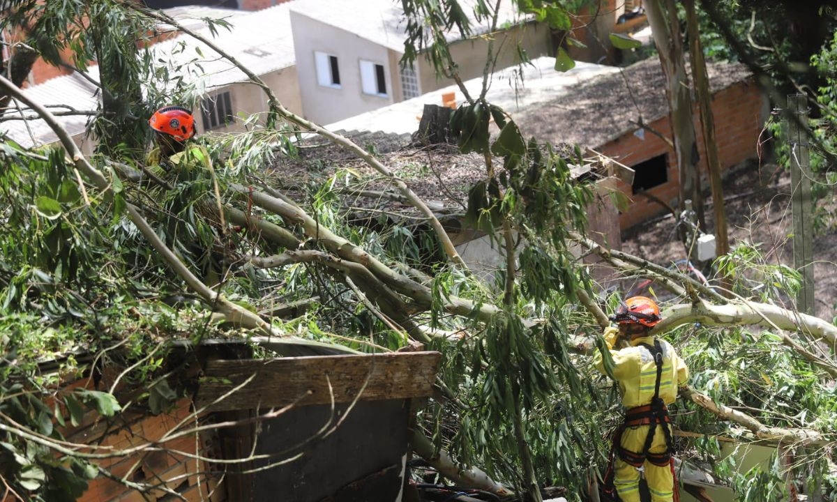 FOTO: André Henriques | DGABC Diário do Grande ABC - Notícias e informações do Grande ABC: Santo André, São Bernardo, São Caetano, Diadema, Mauá, Ribeirão Pires e Rio Grande da Serra