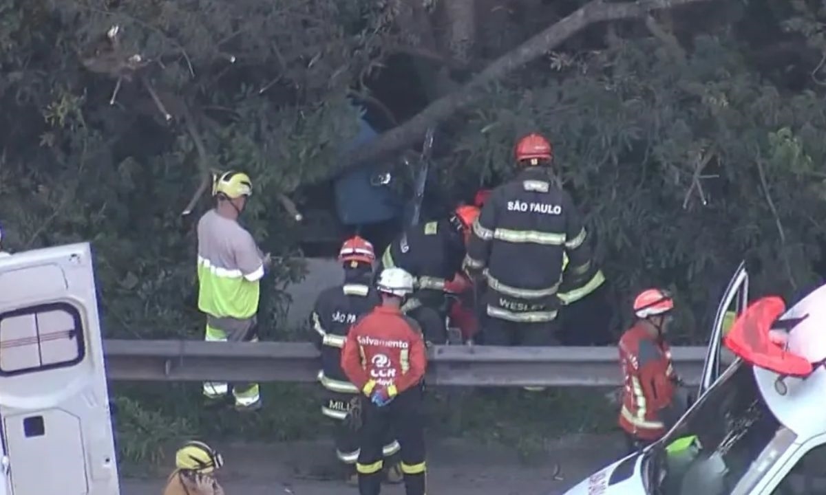 FOTO: Reprodução | TV Globo Diário do Grande ABC - Notícias e informações do Grande ABC: Santo André, São Bernardo, São Caetano, Diadema, Mauá, Ribeirão Pires e Rio Grande da Serra