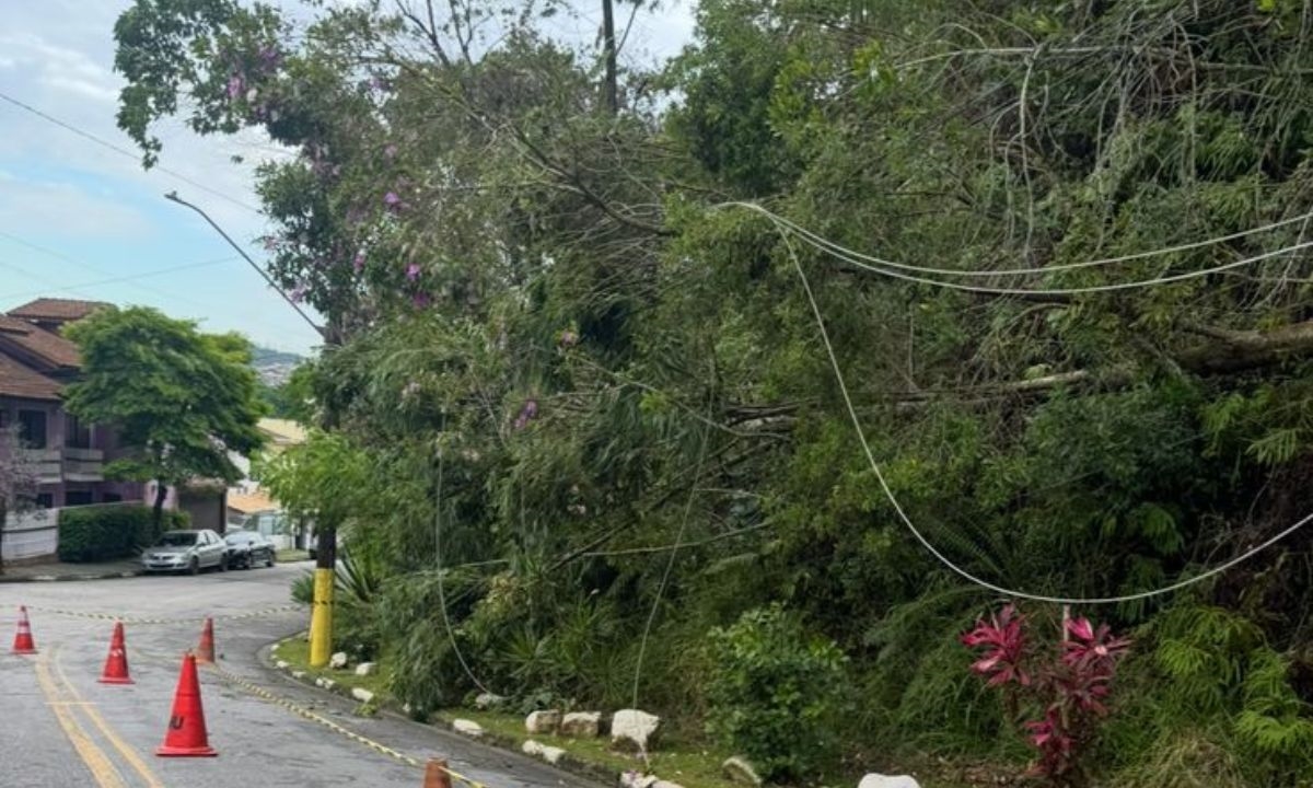 FOTO: Arquivo Pessoal Diário do Grande ABC - Notícias e informações do Grande ABC: Santo André, São Bernardo, São Caetano, Diadema, Mauá, Ribeirão Pires e Rio Grande da Serra