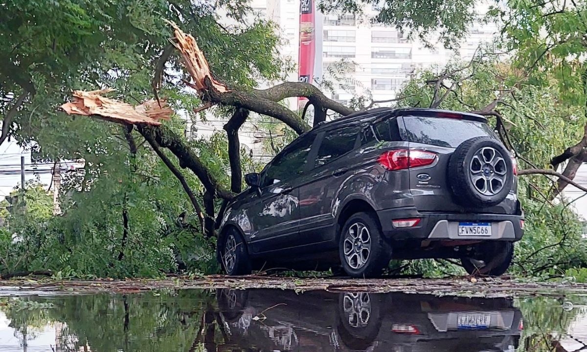 FOTO: Claudinei Plaza/DGABC Diário do Grande ABC - Notícias e informações do Grande ABC: Santo André, São Bernardo, São Caetano, Diadema, Mauá, Ribeirão Pires e Rio Grande da Serra