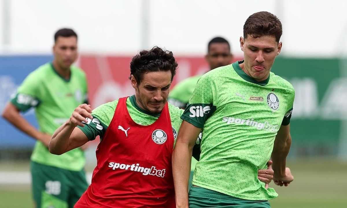 FOTO: Cesar Greco | SE Palmeiras Diário do Grande ABC - Notícias e informações do Grande ABC: Santo André, São Bernardo, São Caetano, Diadema, Mauá, Ribeirão Pires e Rio Grande da Serra