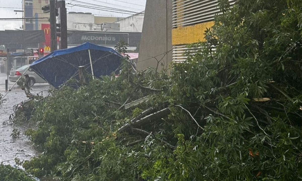 FOTO: Redes sociais Diário do Grande ABC - Notícias e informações do Grande ABC: Santo André, São Bernardo, São Caetano, Diadema, Mauá, Ribeirão Pires e Rio Grande da Serra